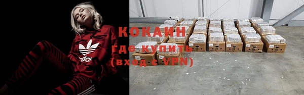 прущие грибы Кулебаки