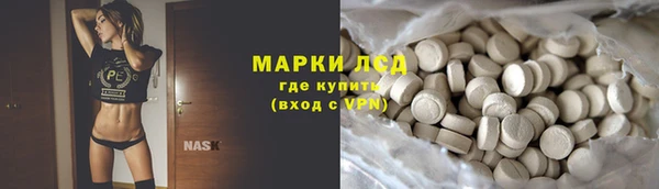 сатива Куйбышев