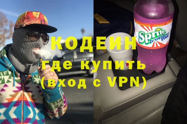 соль ск Кукмор