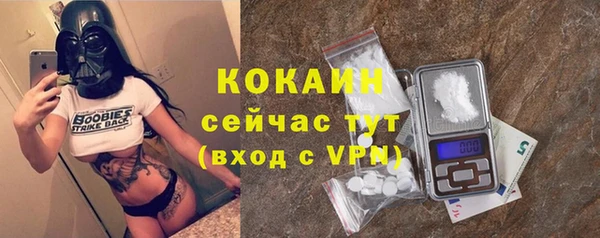 прущие грибы Кулебаки